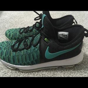 Kd 9 birds in Paradise